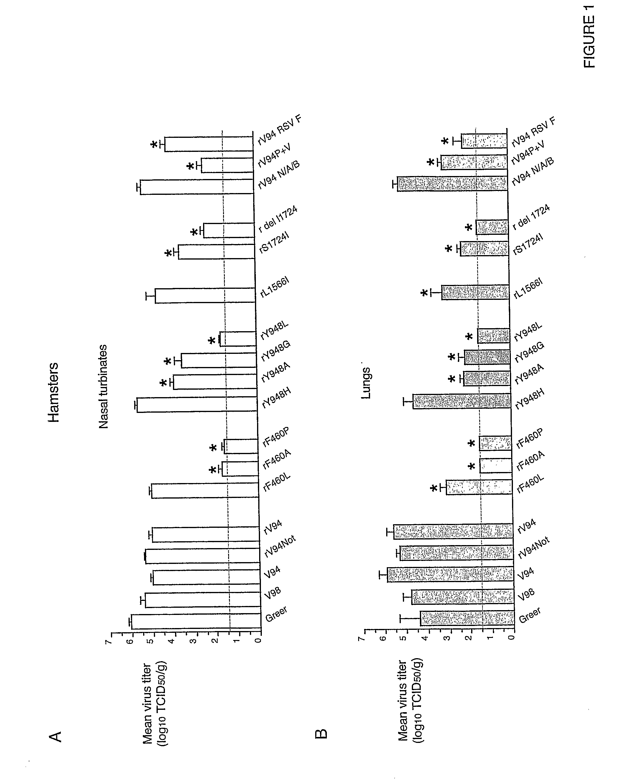 Attenuated human parainfluenza virus, methods and uses thereof