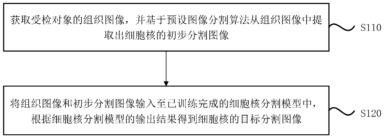 Medical image segmentation method, device and equipment and storage medium