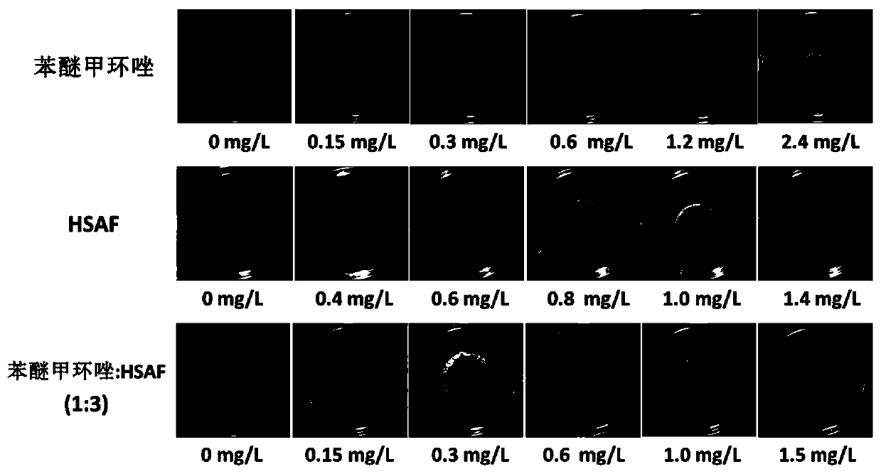 A bactericidal composition containing difenoconazole and biological antibacterial substance hsaf and its application