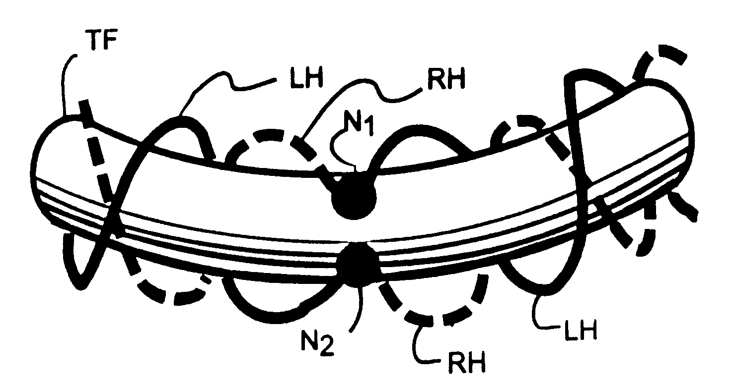 Contrawound toroidal helical antenna