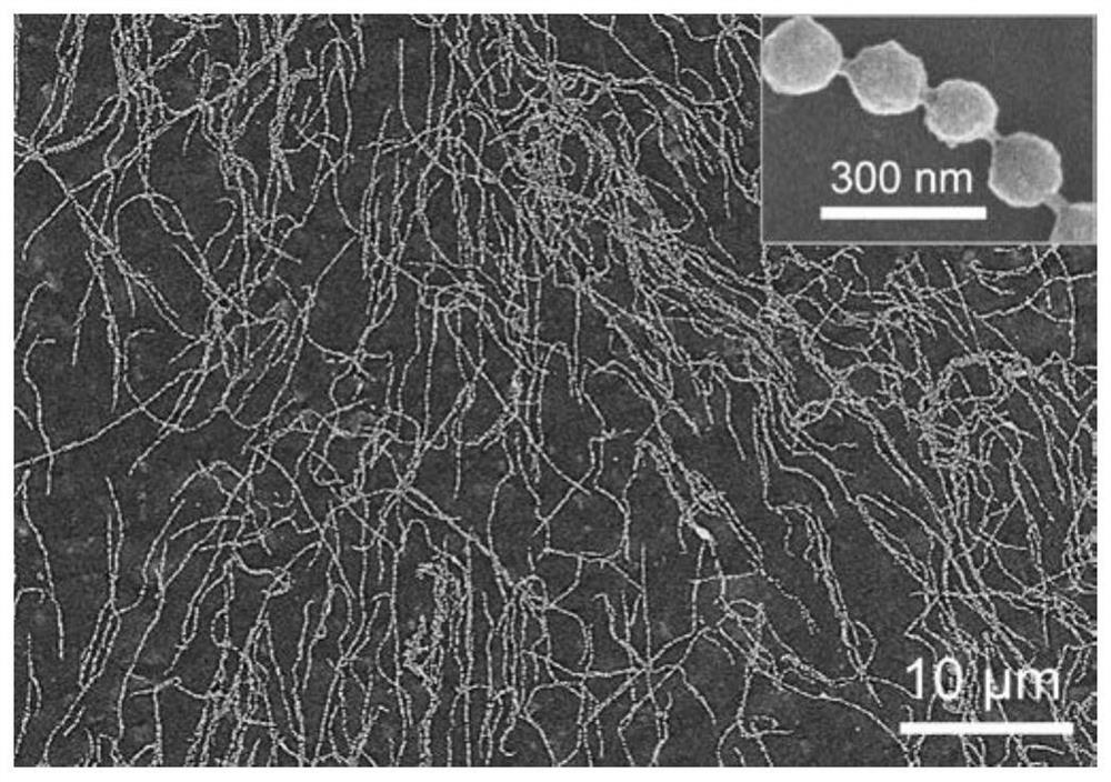 a preparation fe  <sub>3</sub> o  <sub>4</sub> @pvp@pnipam magnetic photonic crystal nanochain particle approach