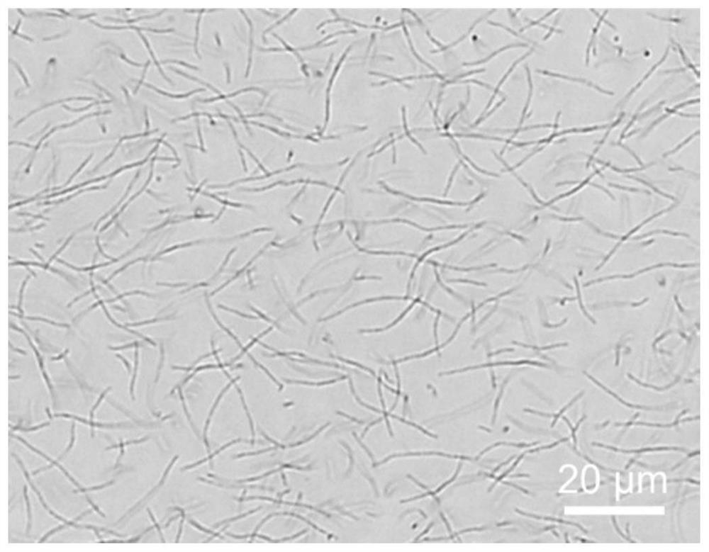 a preparation fe  <sub>3</sub> o  <sub>4</sub> @pvp@pnipam magnetic photonic crystal nanochain particle approach