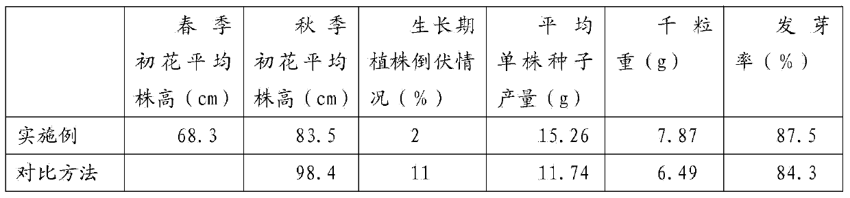 Method capable of increasing both ornamental value and seed production quantity of cosmos sulphureus