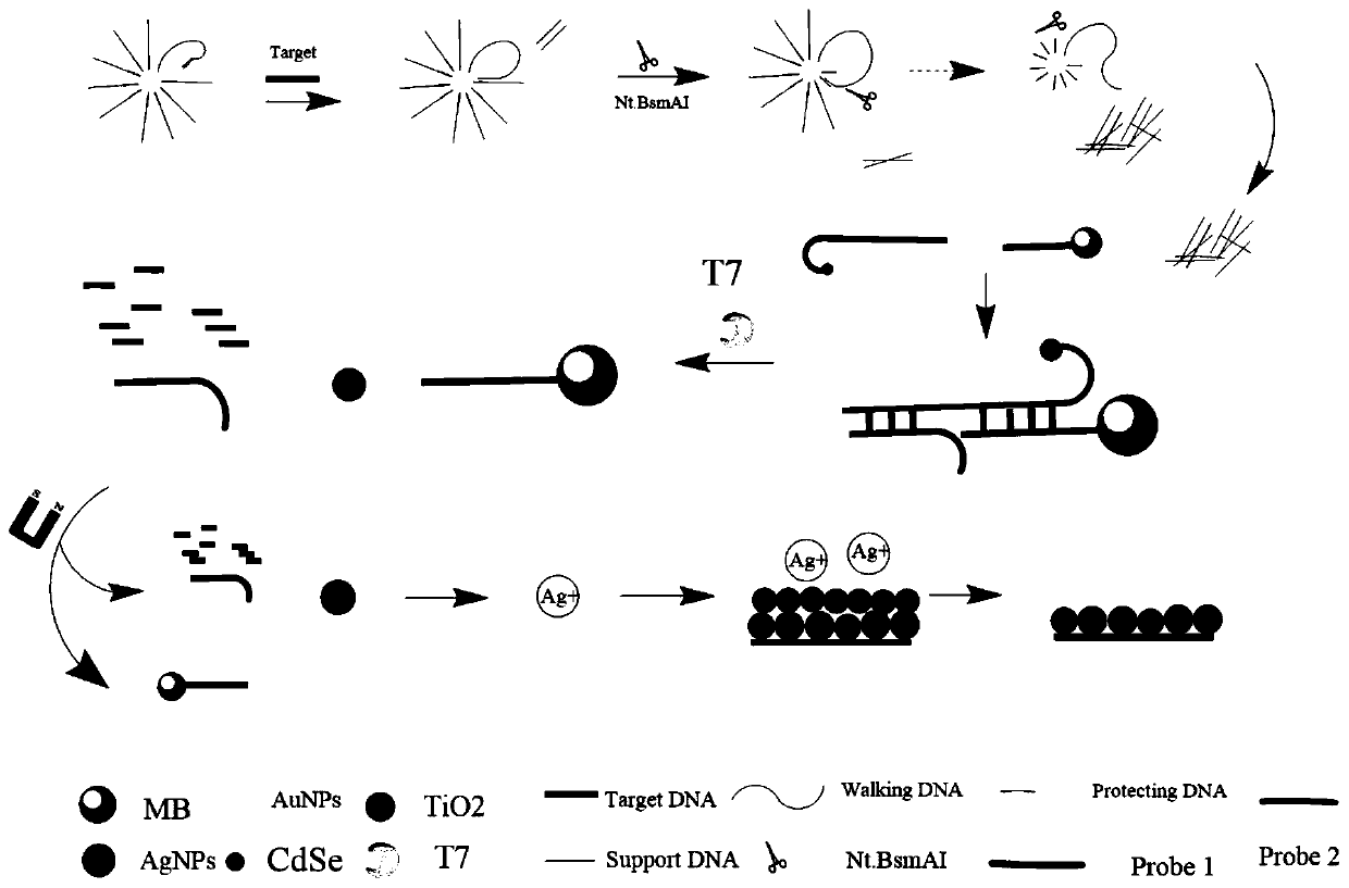 Method for detecting nucleic acid molecules based on cyclic amplification and cation exchange