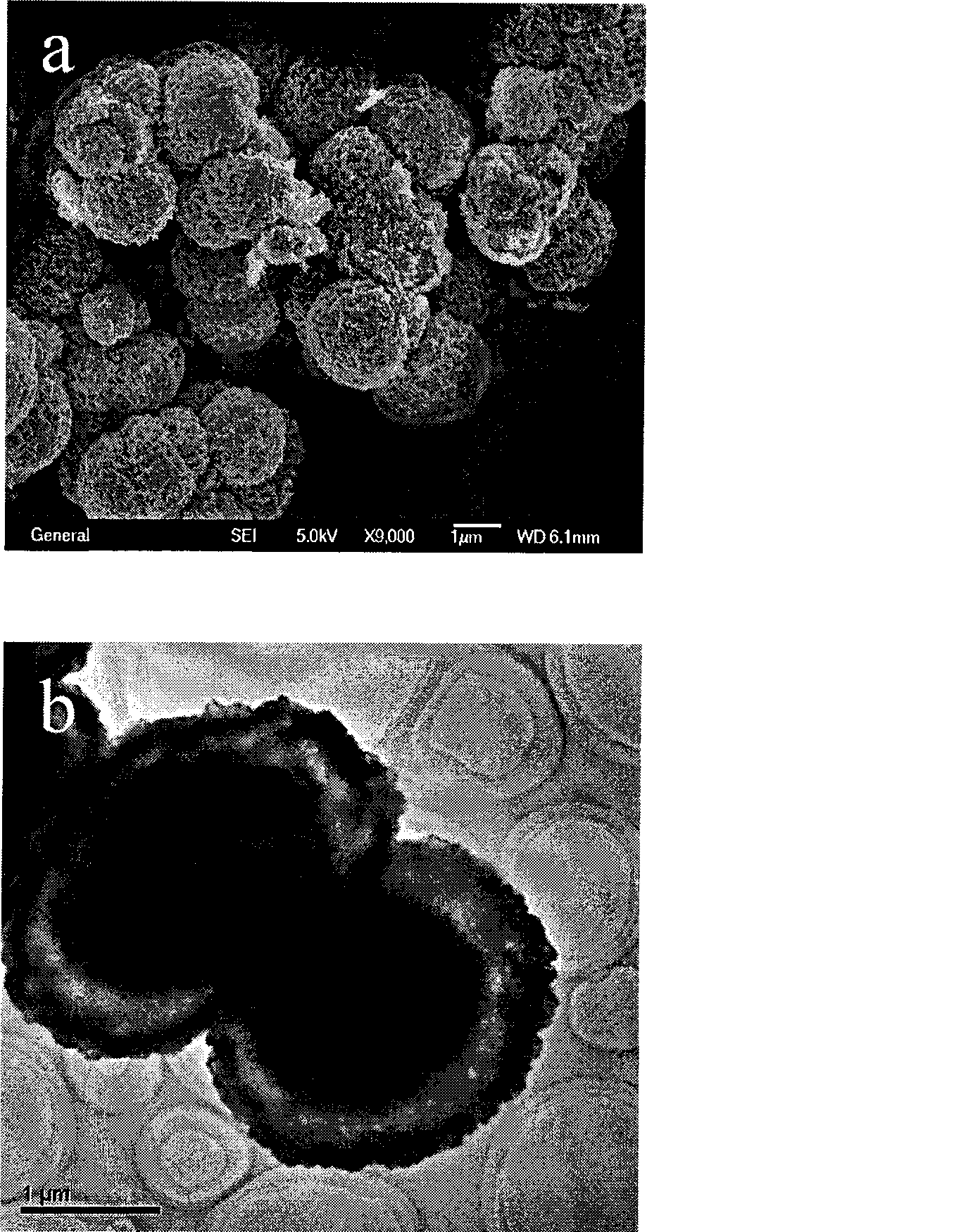 Process for producing nanostructured tin dioxide lithium ion battery negative pole material