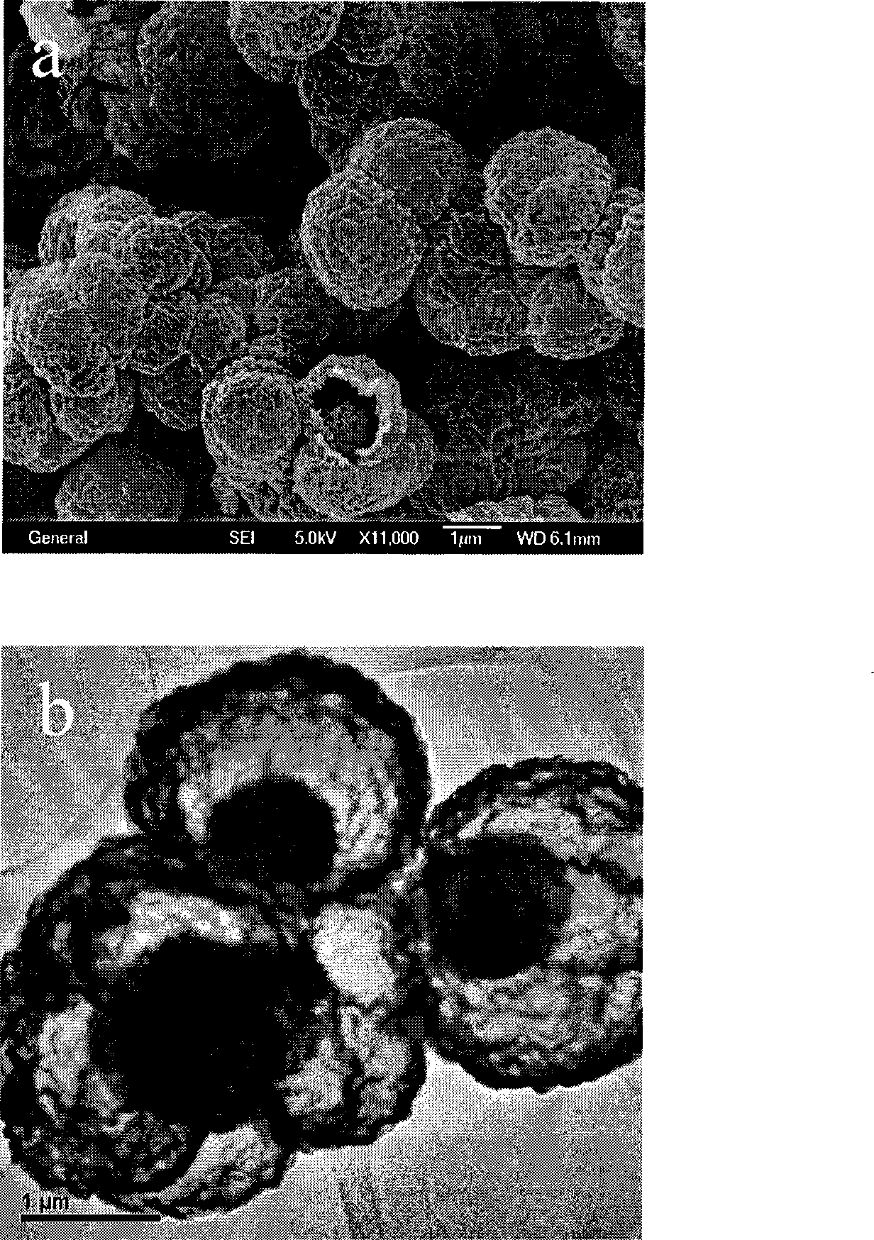 Process for producing nanostructured tin dioxide lithium ion battery negative pole material