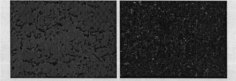 Vermiculizer for producing vermicular cast iron cylinder sleeve by centrifugal casting and preparation method thereof