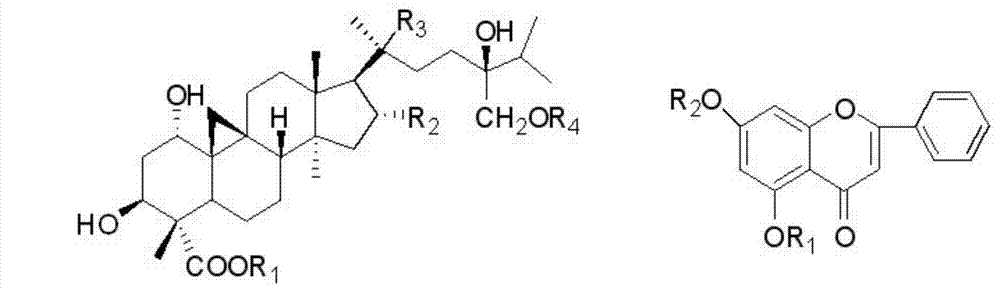 Passiflora edulis sims stem-leaf extract as well as pharmaceutical composition and antidepressant action of extract