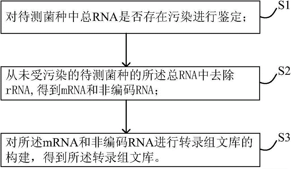 Method for constructing transcriptome library