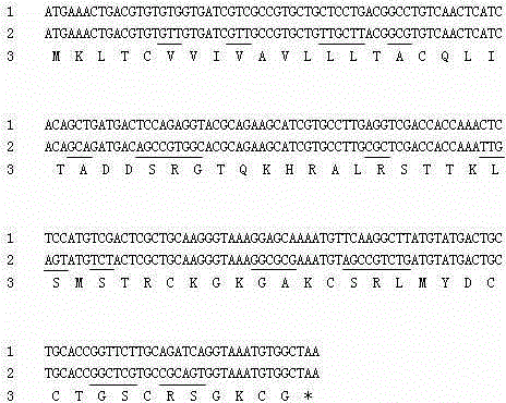 Method for preparing analgesic polypeptide from silkworms