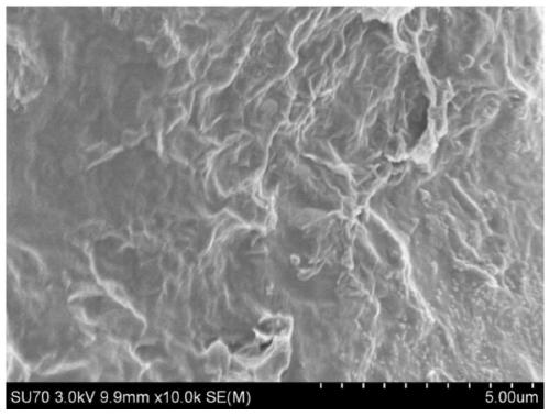 A conductive extracellular matrix composite film obtained through cell sheets and its preparation method