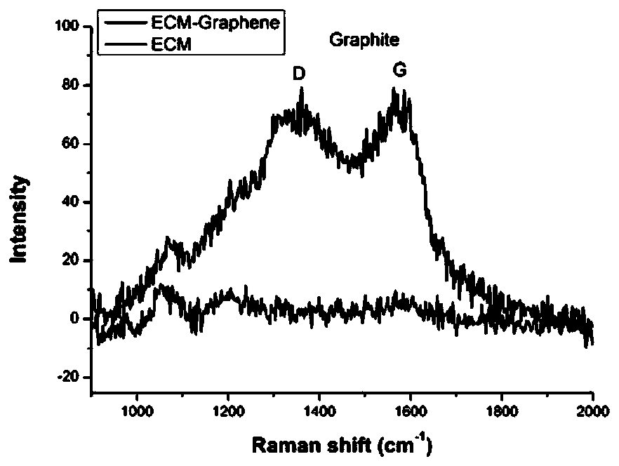 A conductive extracellular matrix composite film obtained through cell sheets and its preparation method