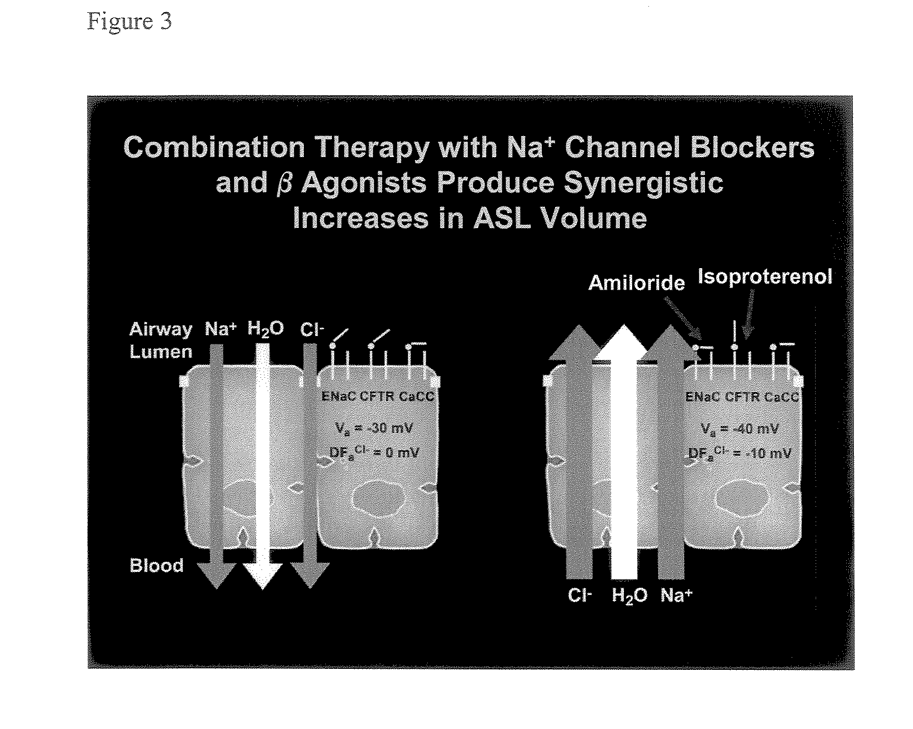 Aliphatic pyrazinoylguanidine sodium channel blockers with beta agonist activity