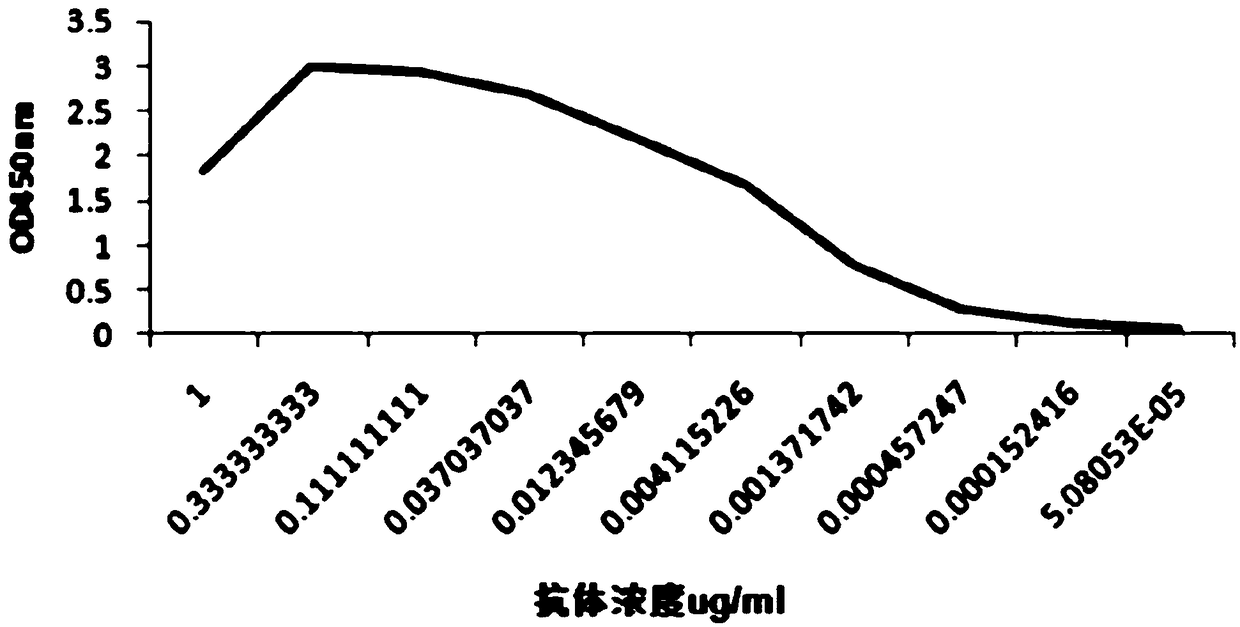 Antitetanus toxin neutralizing antibody as well as preparation method and application thereof