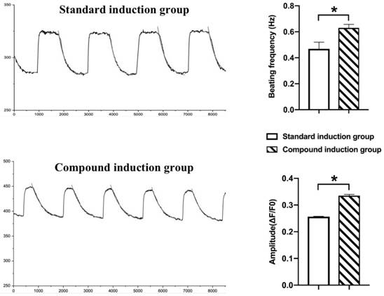 Traditional Chinese medicine composition capable of promoting directed differentiation of stem cells into cardiomyocytes, traditional Chinese medicine effective component composition and application thereof