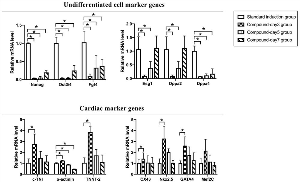 Traditional Chinese medicine composition capable of promoting directed differentiation of stem cells into cardiomyocytes, traditional Chinese medicine effective component composition and application thereof