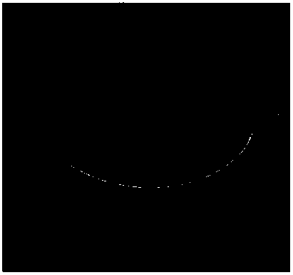 A kind of establishment method of catalpa catapulia embryogenic cell suspension line