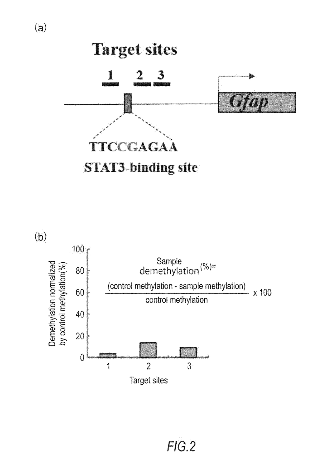 DNA methylation editing kit and DNA methylation editing method