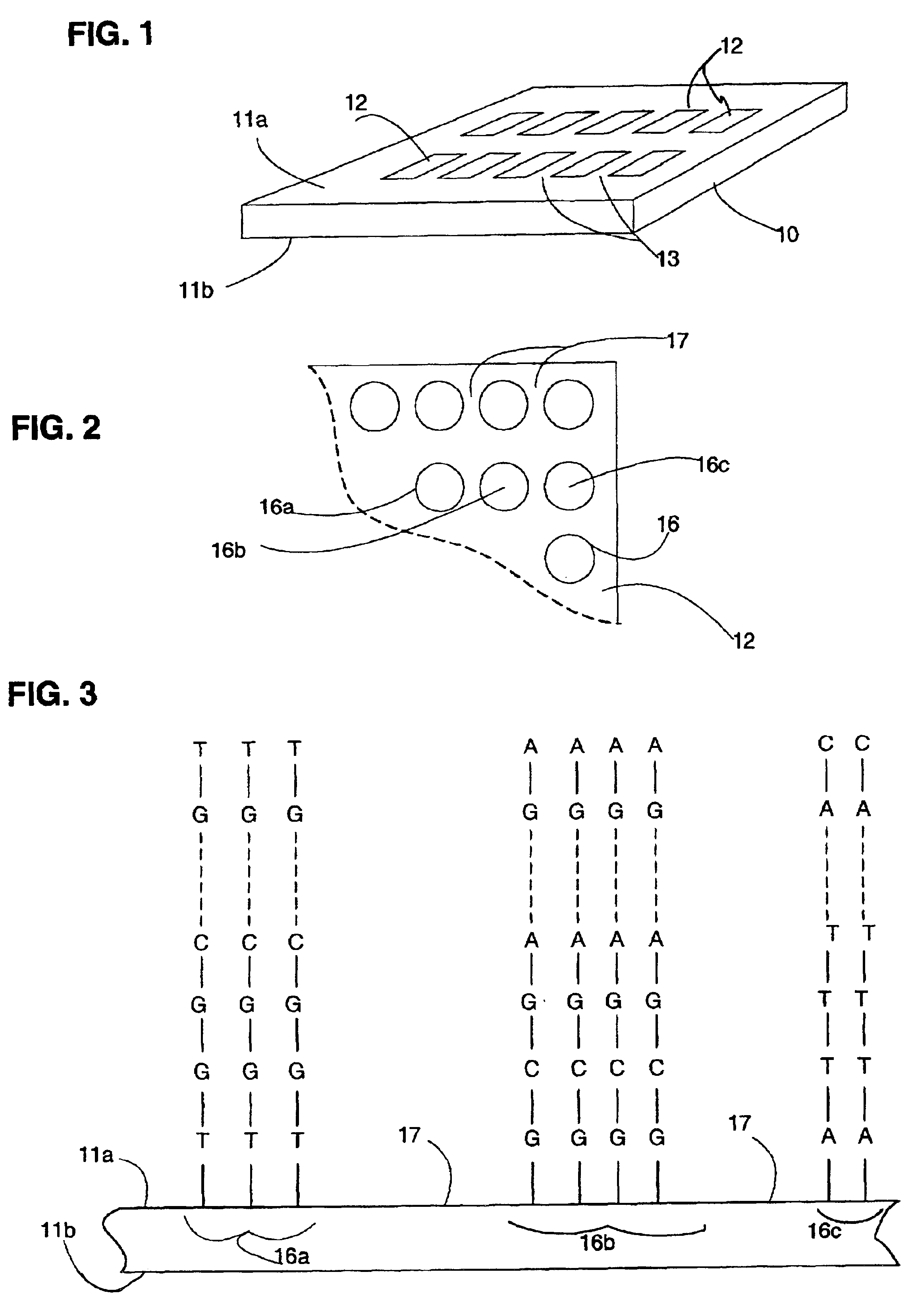 Arrays with elongated features