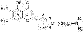 Flavone alkylamine compounds as well as preparation method and application thereof