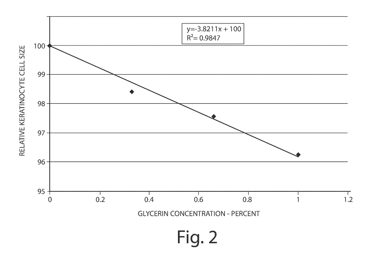 Composition and related method for inhibiting moisture loss from skin