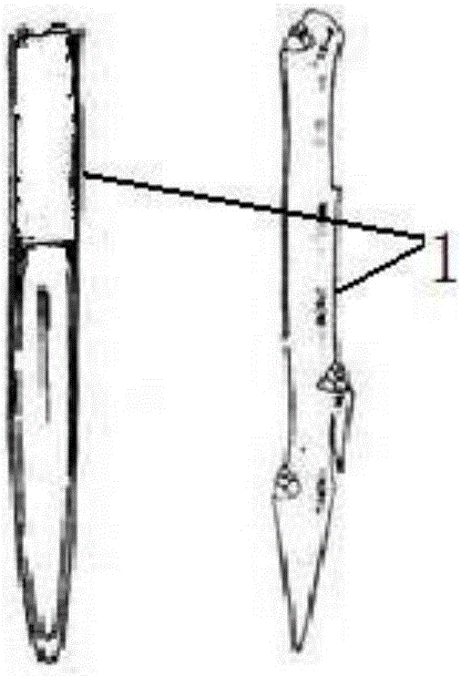 Method for breeding flos caryophylli in plant manner