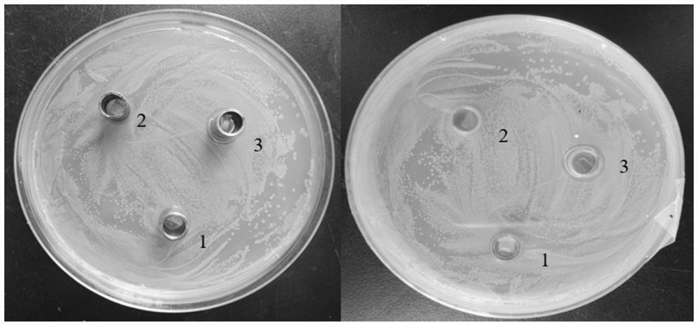 A kind of composite antibacterial polyurethane block polymer and its preparation and application