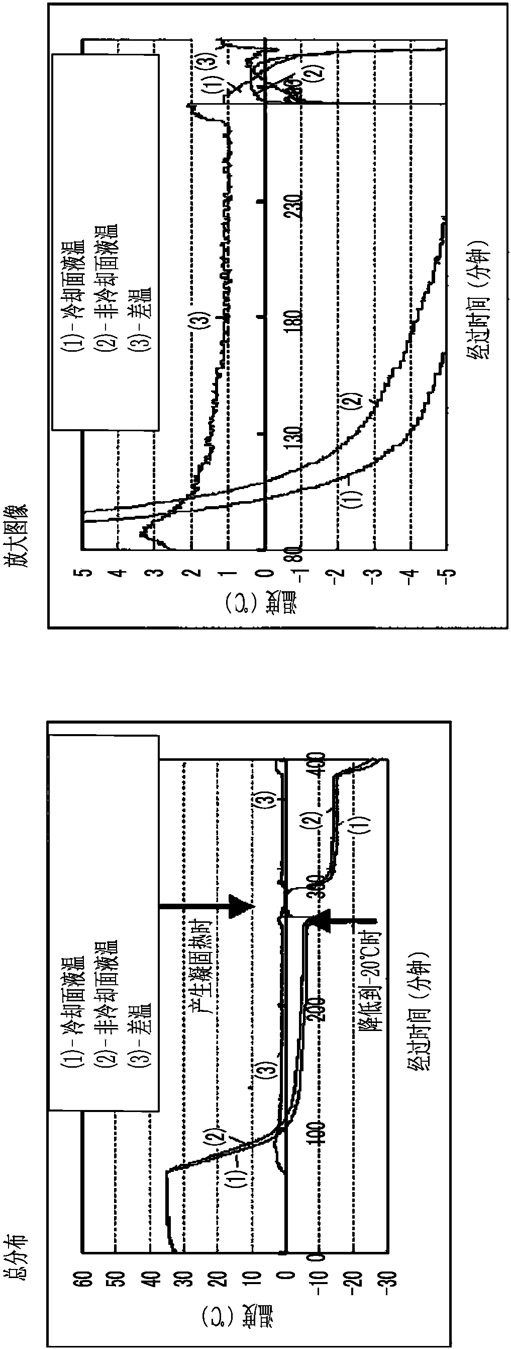 Cell structure, non-human model animal, method for producing non-human model animal, and method for evaluating test substance