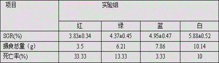 Cultivation method of seahorse artificial breeding broodstock