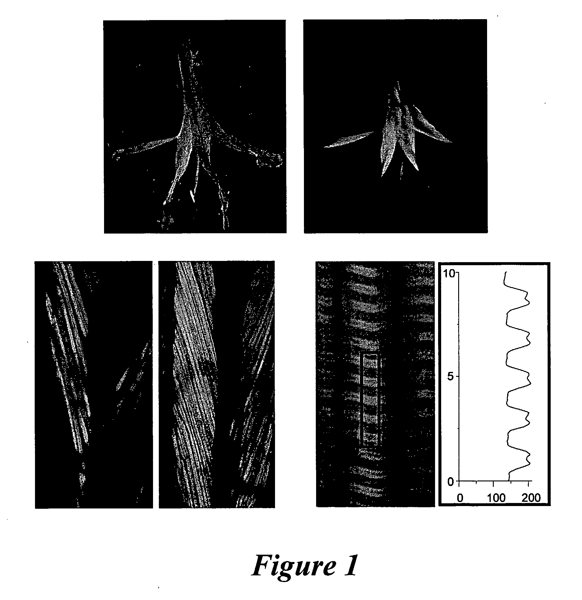 Large-Scale Production of Recombinant Transmembrane and Cytosolic Proteins