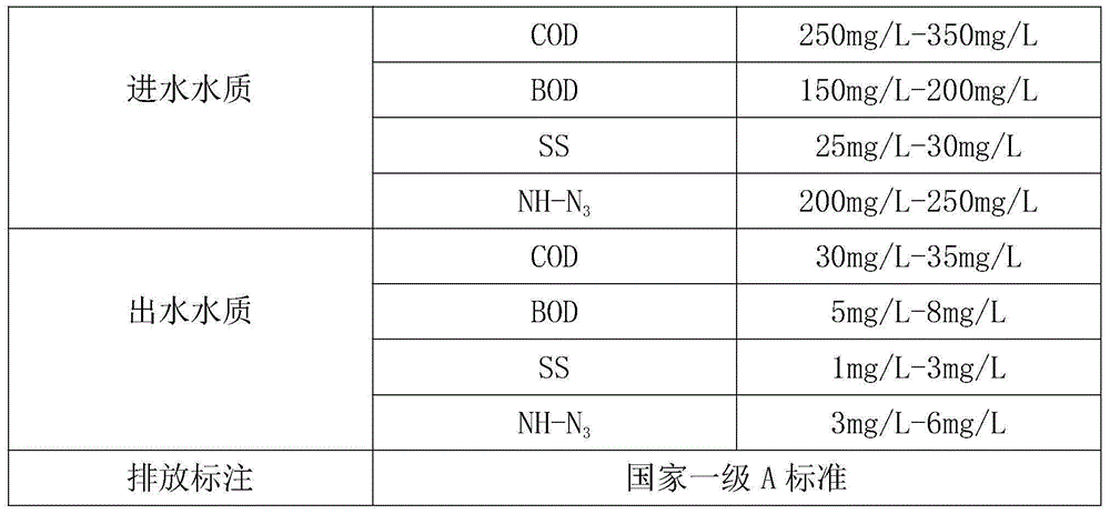 Microbial coagulant for municipal wastewater and preparation method thereof