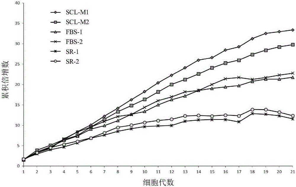 Serum-free medium and preparing method and application thereof