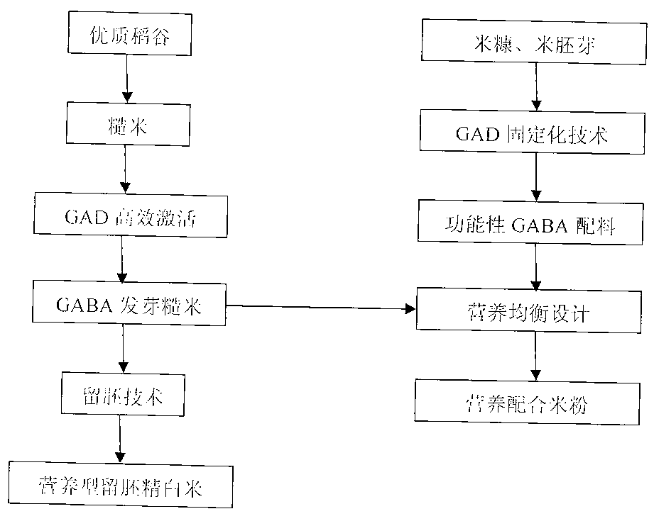 Method for producing food material with high GABA function with rice endogenous enzyme activation method