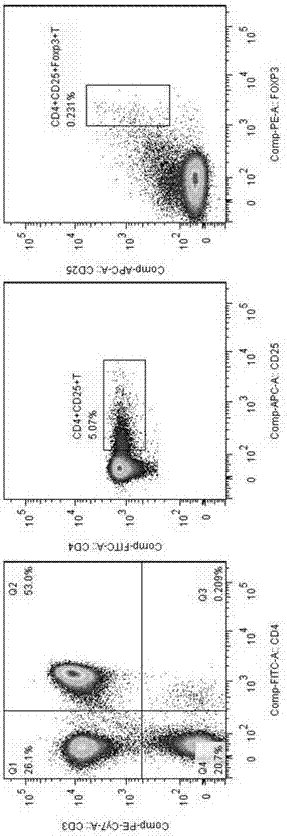 Application of MBL in preparing drug for preventing or treating disease induced by effector T cell