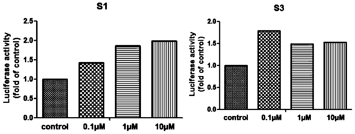 Application of homoplantaginin and derivatives of homoplantaginin as Nrf-2 activators