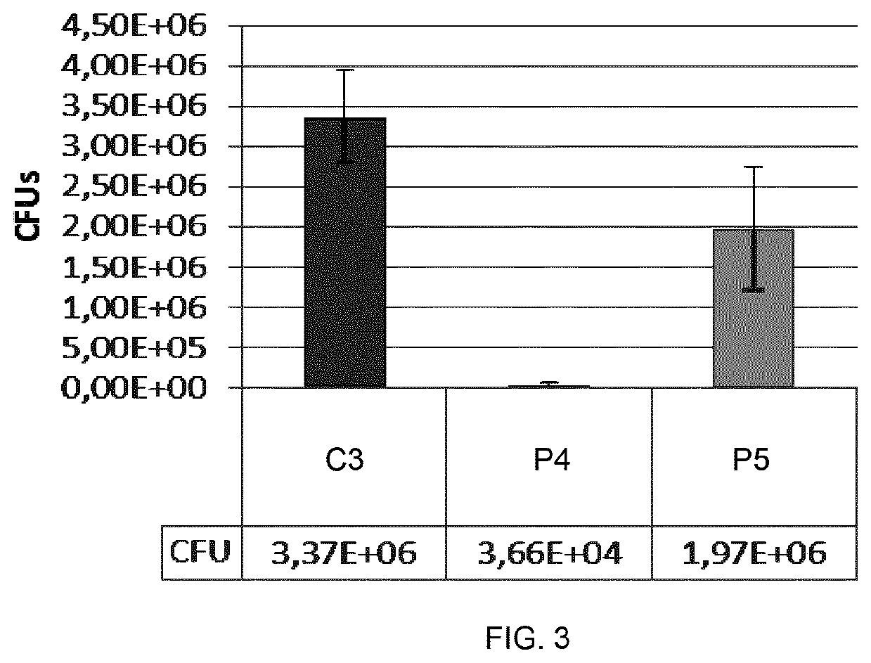 Use of rhamnose and derivatives thereof as antifungal agents