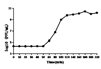 Bacteriophage and application thereof