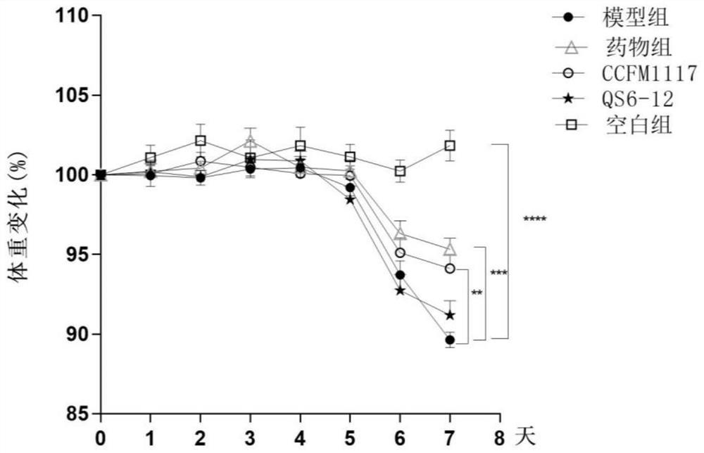 Lactobacillus plantarum for relieving ulcerative colitis and application thereof