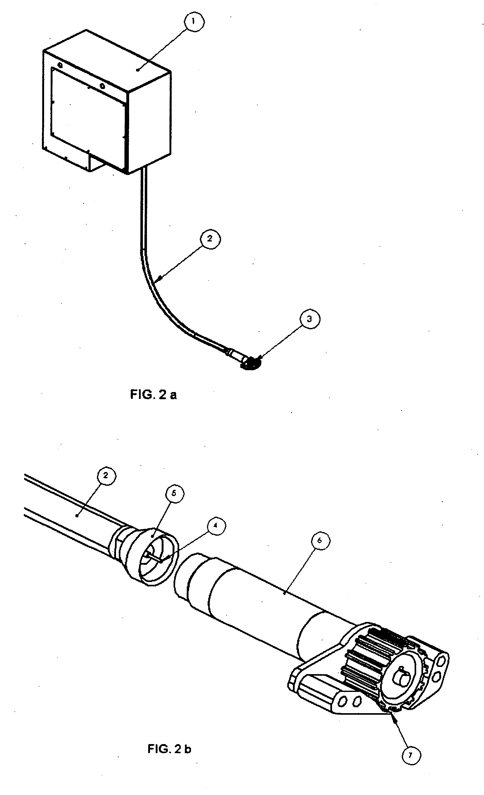 Apparatus and procedure for fish boning