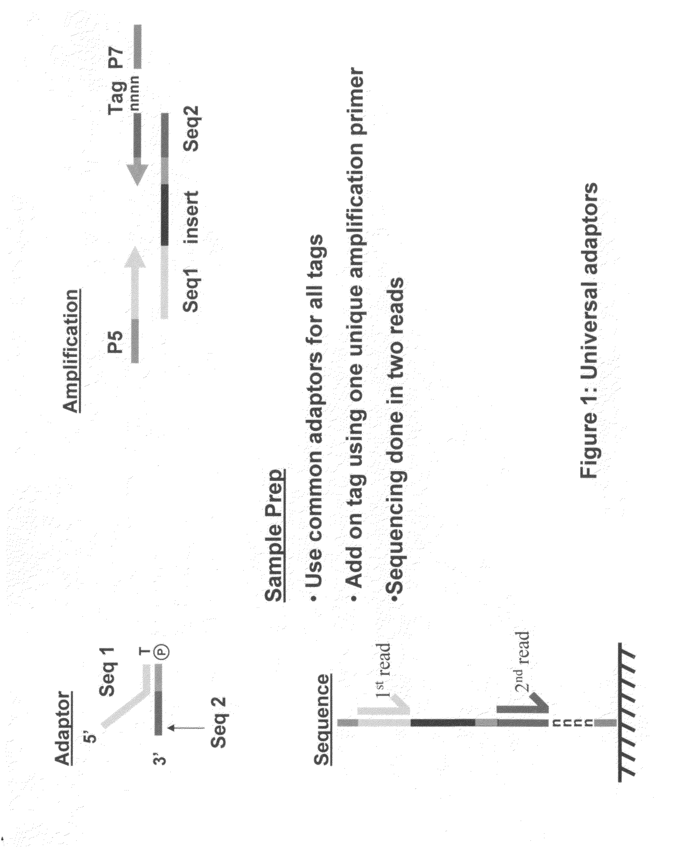 Methods for indexing samples and sequencing multiple polynucleotide templates