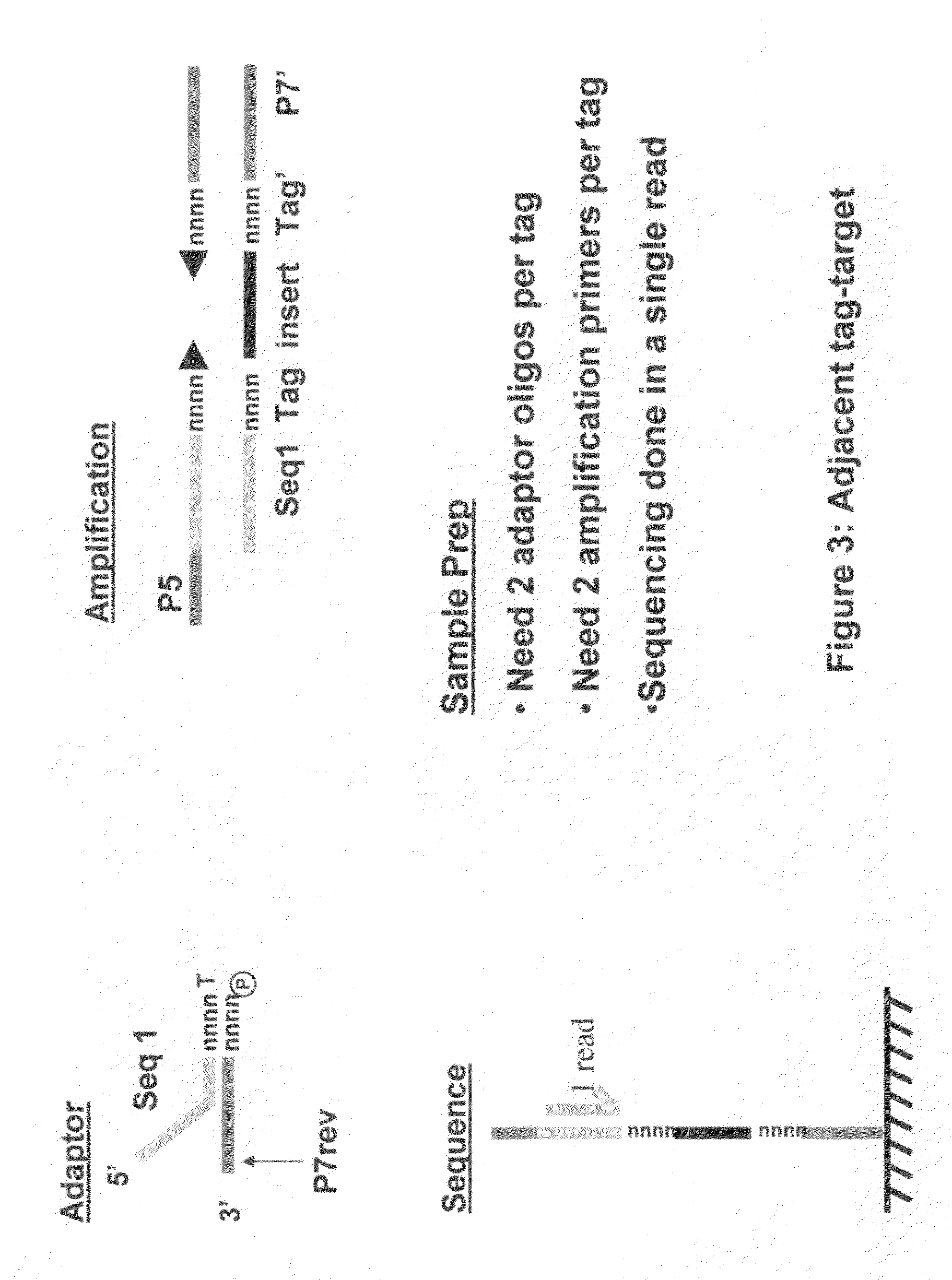 Methods for indexing samples and sequencing multiple polynucleotide templates