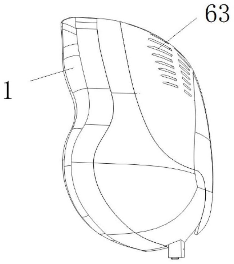 Mask type ion net filtering system