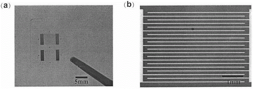 Total internal reflection structure-based graphene photoelectric detector and preparation method thereof