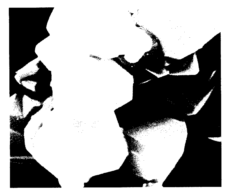 Preparation method of compound photocatalytic water purification material