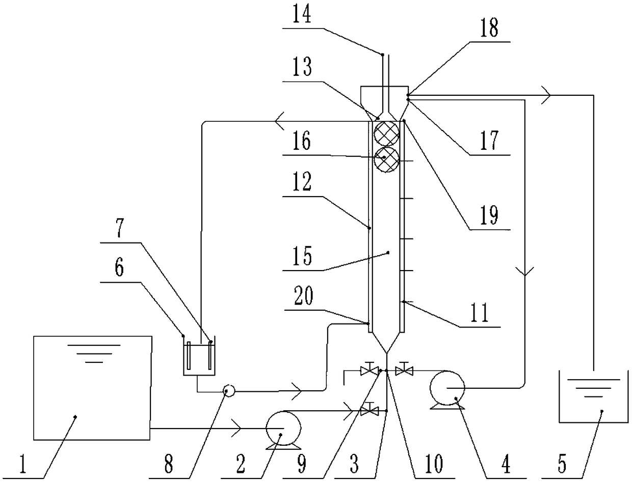 Method for rapidly culturing anaerobic ammoxidized granular sludge