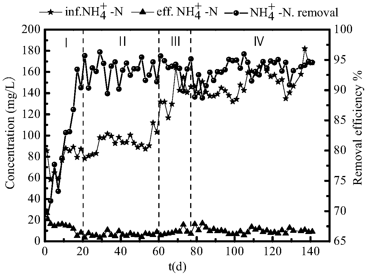 Method for rapidly culturing anaerobic ammoxidized granular sludge