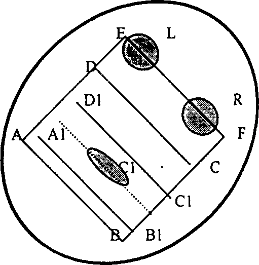 Method for detecting moving human face