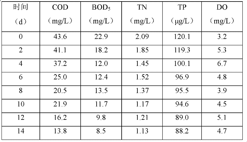 Method for purifying mariculture wastewater by utilizing compound microbial inoculant