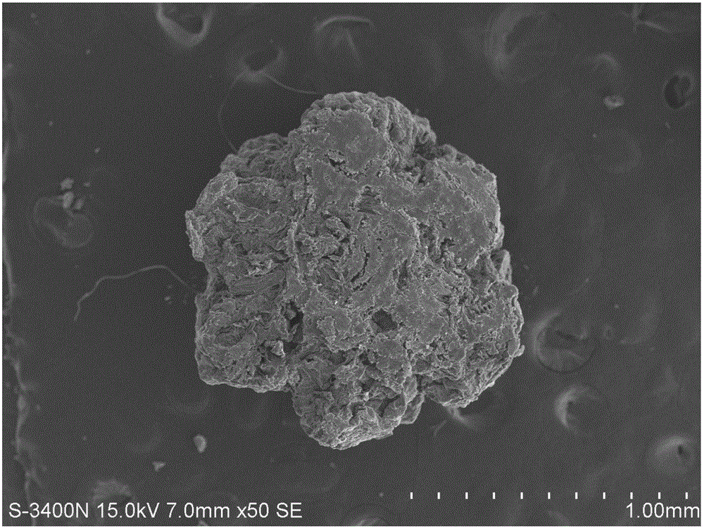 Silkworm excrement porous carbon MOFs composite material with high specific surface and preparation method and application thereof