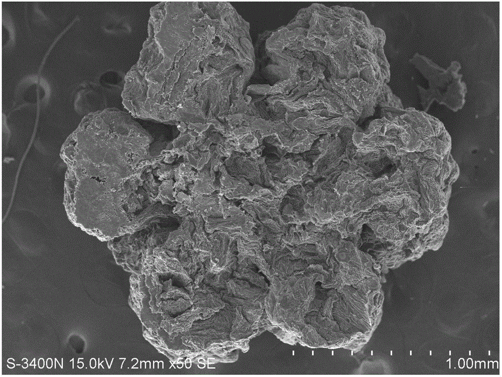 Silkworm excrement porous carbon MOFs composite material with high specific surface and preparation method and application thereof